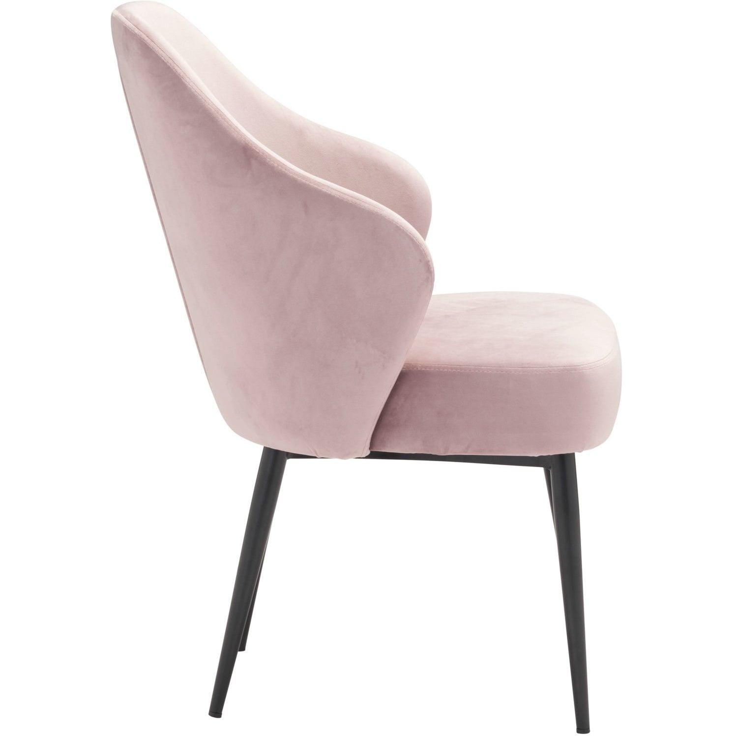 Savant Pink Velvet Dining Chair With Black Steel Legs