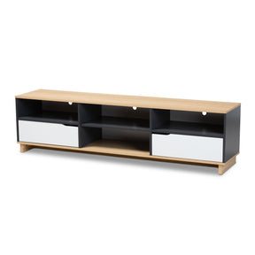 Baxton Studio Reed Mid-Century Modern Multicolor 2-Drawer Wood TV Stand Baxton Studio- TV Stands-Minimal And Modern - 1