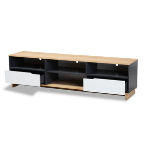 Baxton Studio Reed Mid-Century Modern Multicolor 2-Drawer Wood TV Stand
