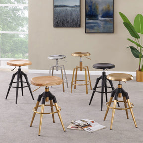 Elton Wood Top Metal Swivel Backless Stool - Set of 2 by New Pacific Direct - 1350003-CH