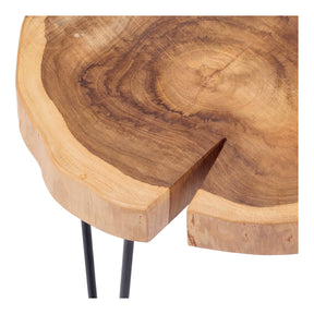 Ares Teak End Table by New Pacific Direct - 2400030