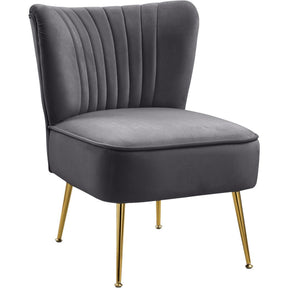 Meridian Furniture Tess Grey Velvet Accent ChairMeridian Furniture - Accent Chair - Minimal And Modern - 1