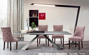 Meridian Furniture Hannah Pink Velvet Dining Chair - Set of 2