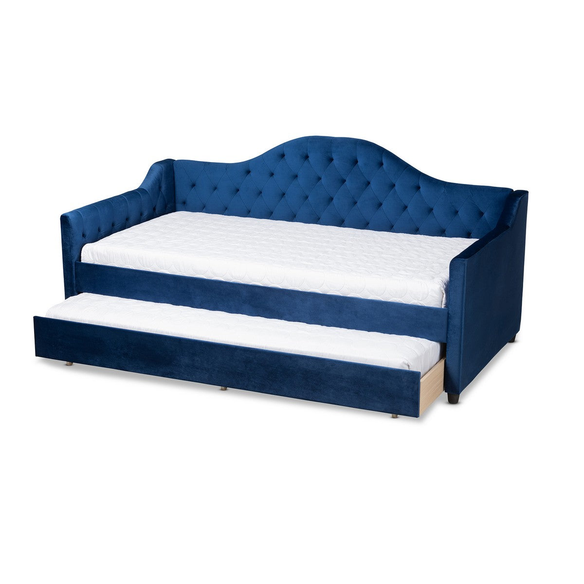 Baxton Studio Perry Modern and Contemporary Royal Blue Velvet Fabric Upholstered and Button Tufted Twin Size Daybed with Trundle Baxton Studio-daybed-Minimal And Modern - 1