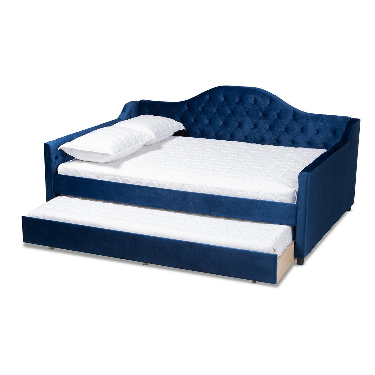 Baxton Studio Perry Modern and Contemporary Royal Blue Velvet Fabric Upholstered and Button Tufted Queen Size Daybed with Trundle Baxton Studio-daybed-Minimal And Modern - 1