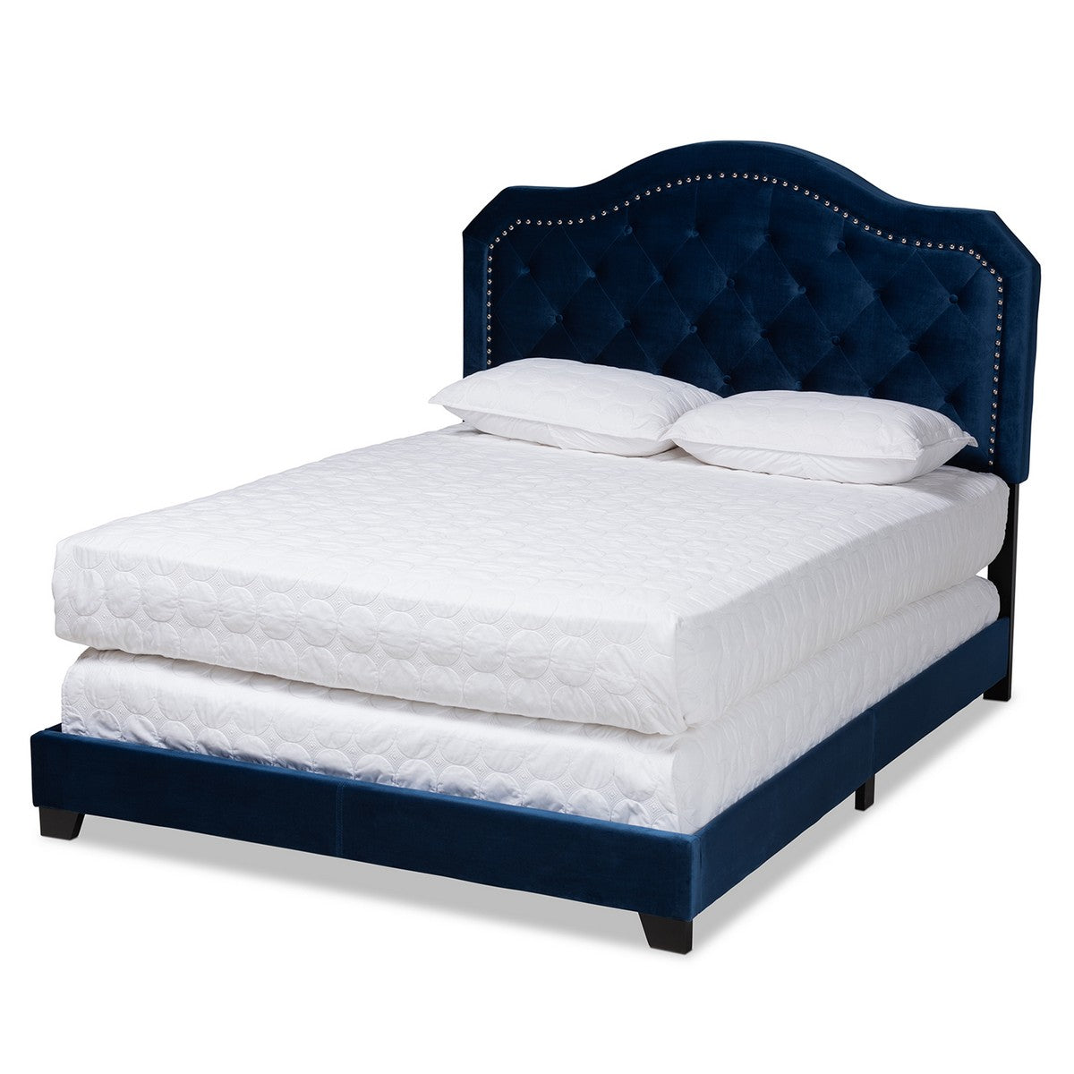 Baxton Studio Samantha Modern and Contemporary Navy Blue Velvet Fabric Upholstered King Size Button Tufted Bed Baxton Studio- Beds (Box Spring Required)-Minimal And Modern - 1