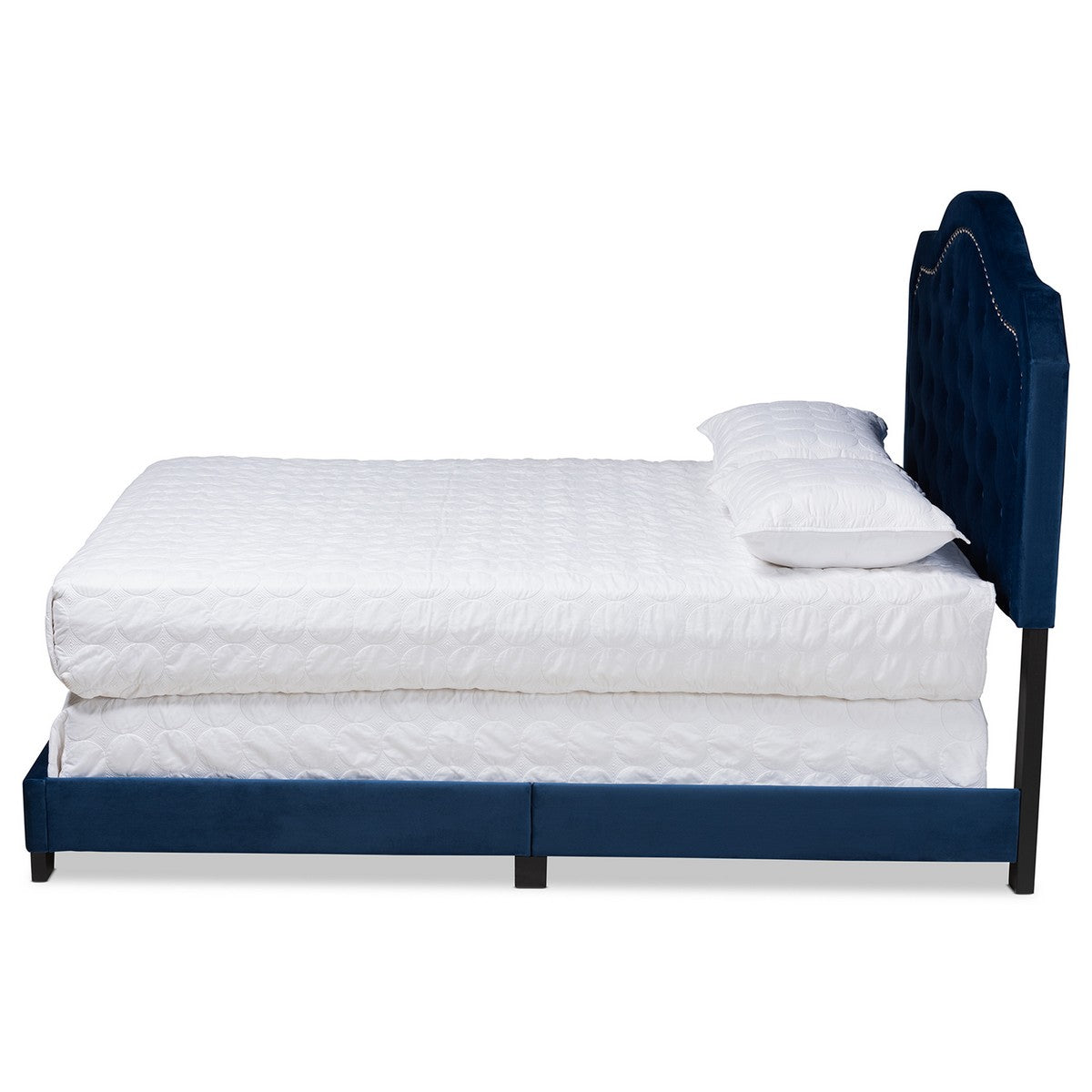 Baxton Studio Samantha Modern and Contemporary Navy Blue Velvet Fabric Upholstered Queen Size Button Tufted Bed