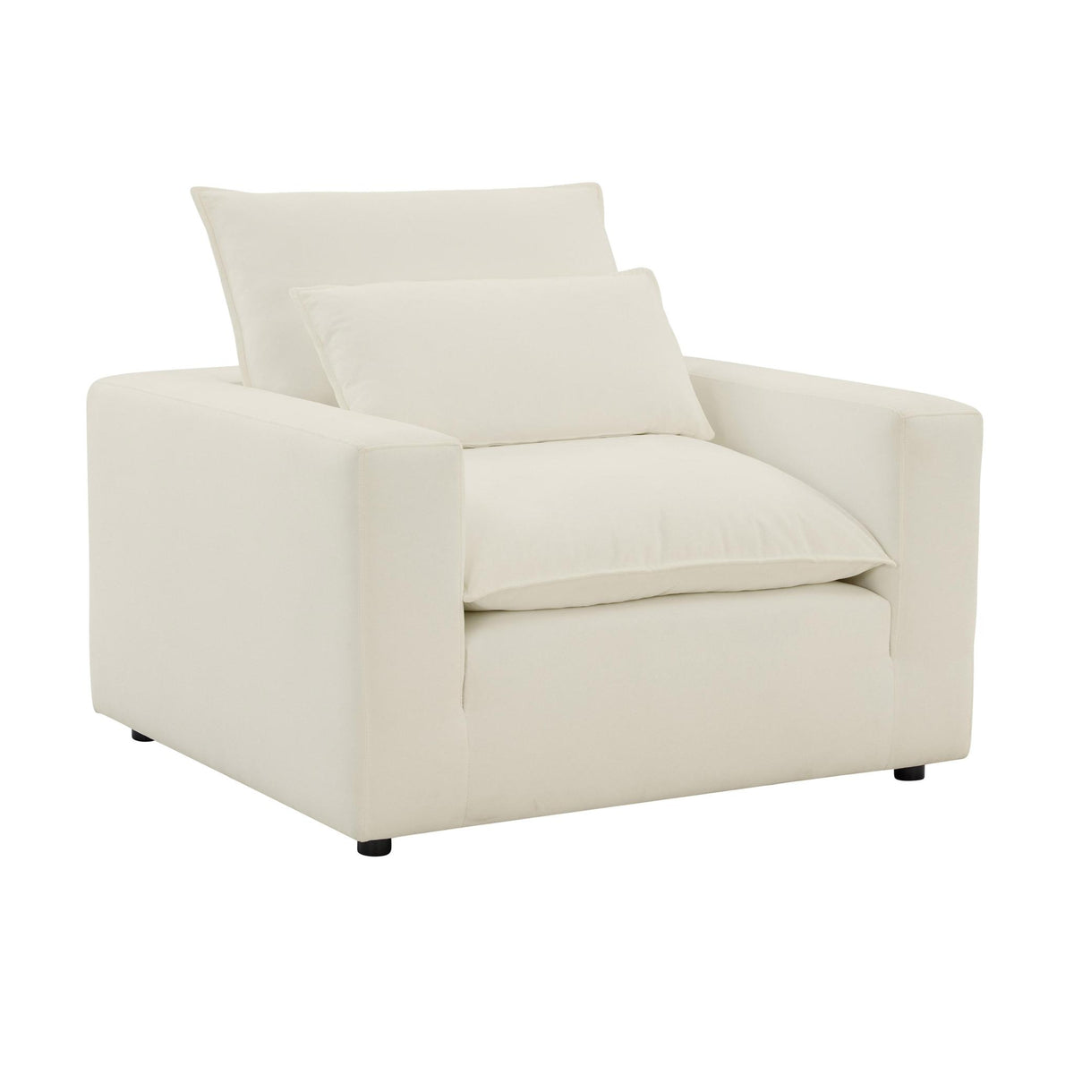 TOV Furniture Modern Cali Natural Arm Chair - REN-L00186