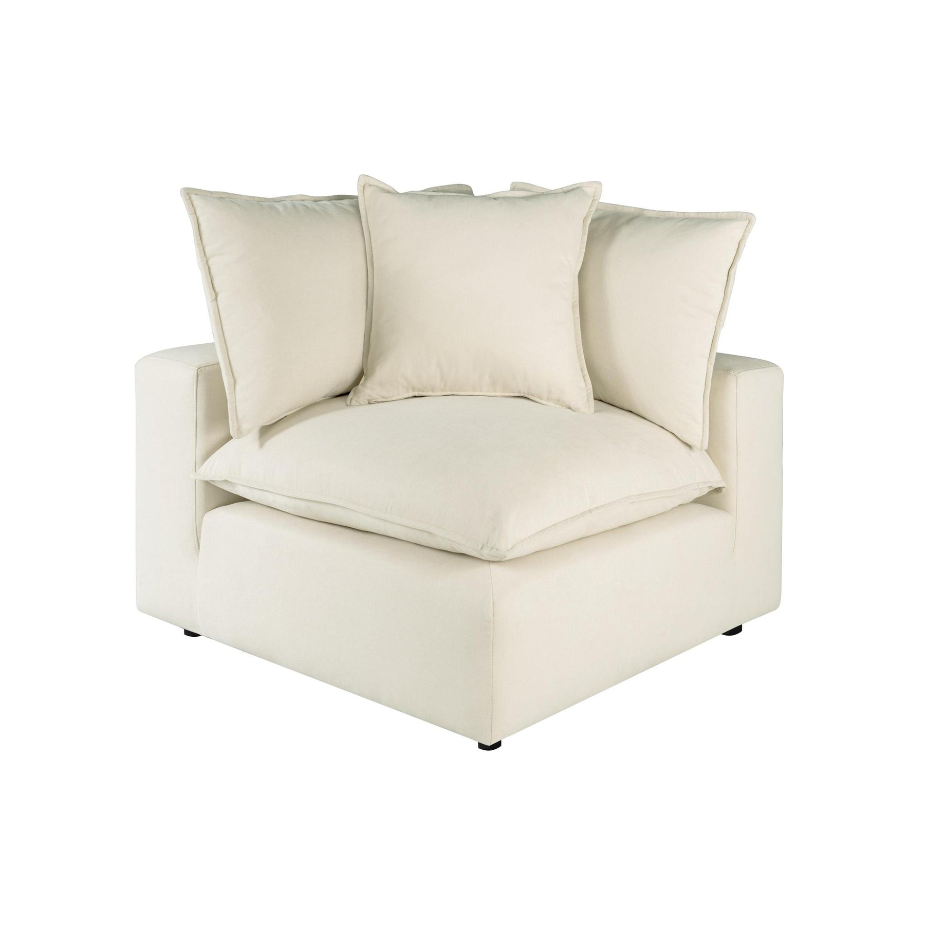 TOV Furniture Modern Cali Natural Corner Chair - REN-L0094-C