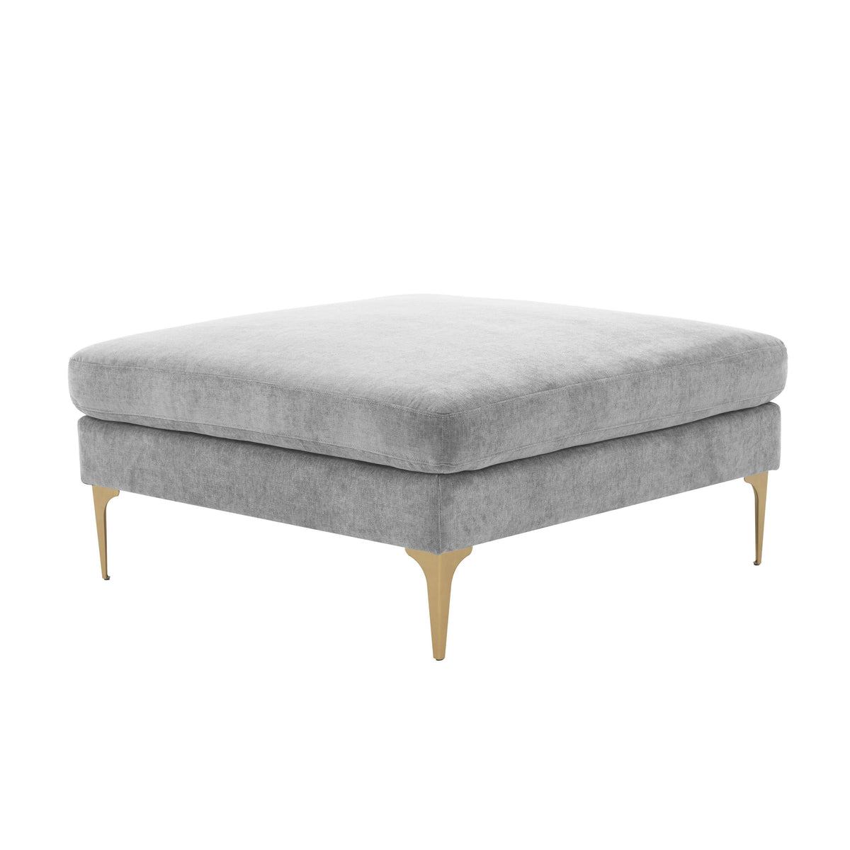 TOV Furniture Modern Serena Gray Velvet Ottoman - REN-L05131