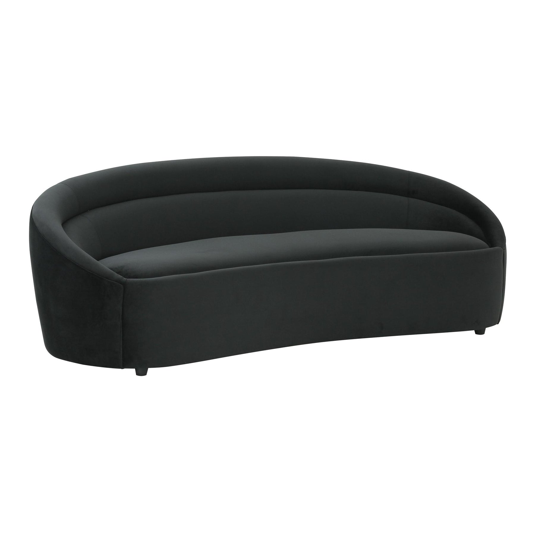 TOV Furniture Modern Ellison Black Velvet Sofa - TOV-L68111