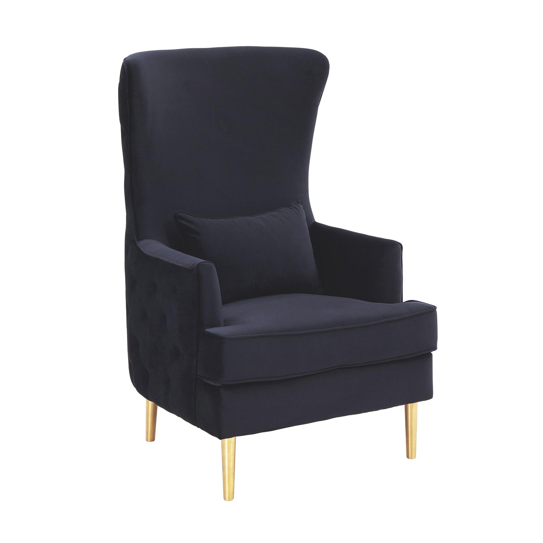 TOV Furniture Modern Alina Black Tall Tufted Back Chair - TOV-S6479