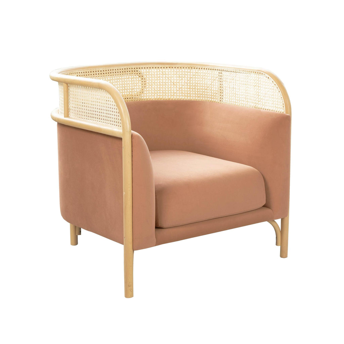 TOV Furniture Modern Desiree Mauve Velvet Accent Chair - TOV-S68523
