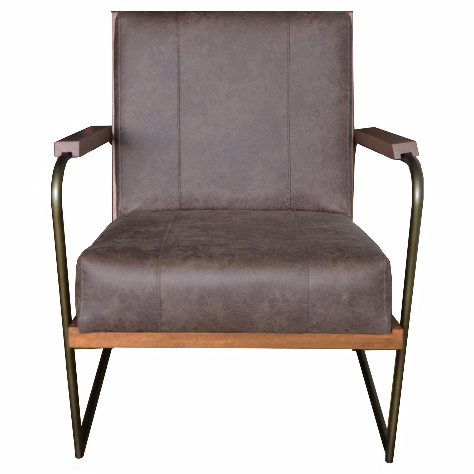 Damian PU Leather Accent Chair by New Pacific Direct - 9900021