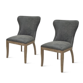 Dorsey Chair (Set of 2) by New Pacific Direct - 3900019