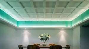Bold Ceilings as Visual Features