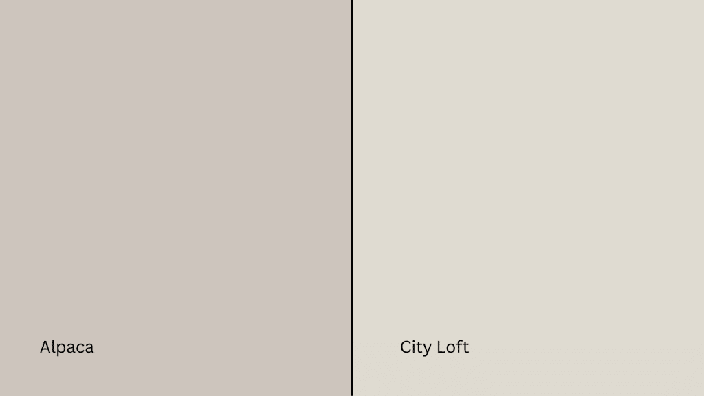 Alpaca vs. City Loft