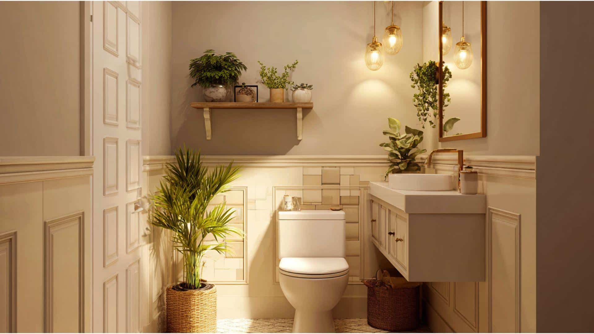 Decorate with Plants
