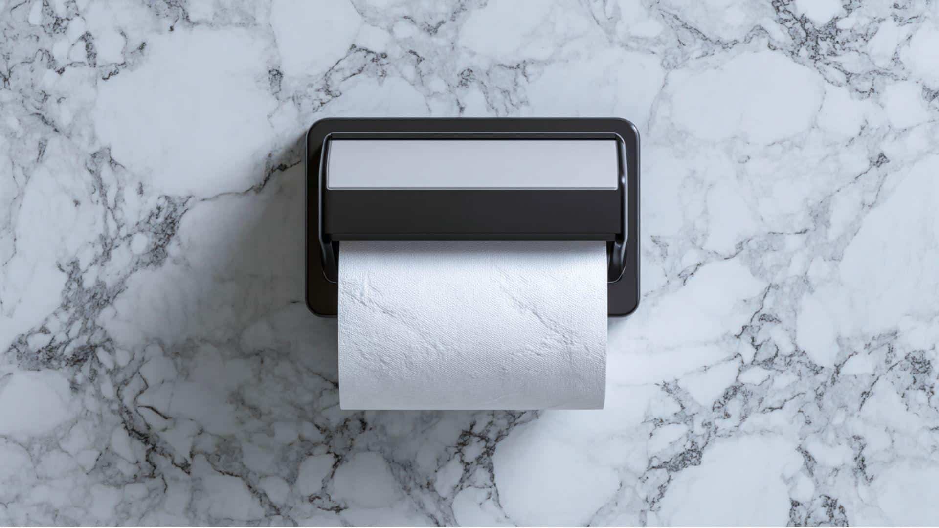 Update the Toilet Paper Holder