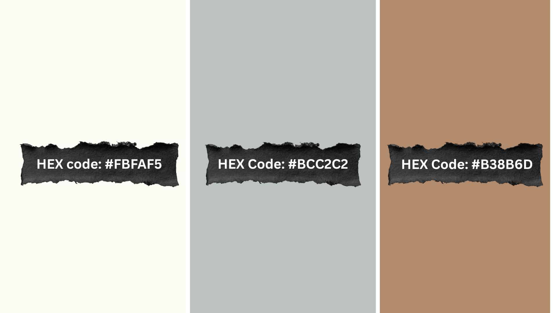 palette 1 quiet morning