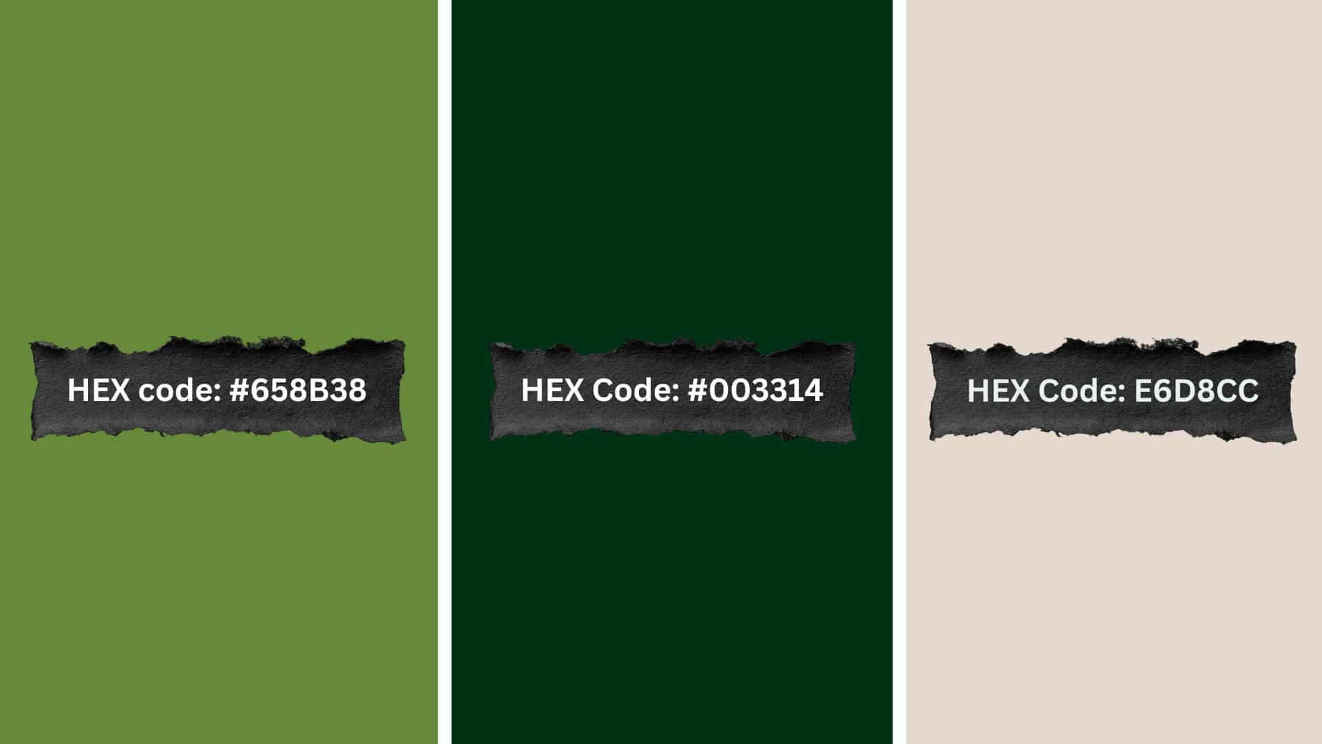 palette 14 quiet forest