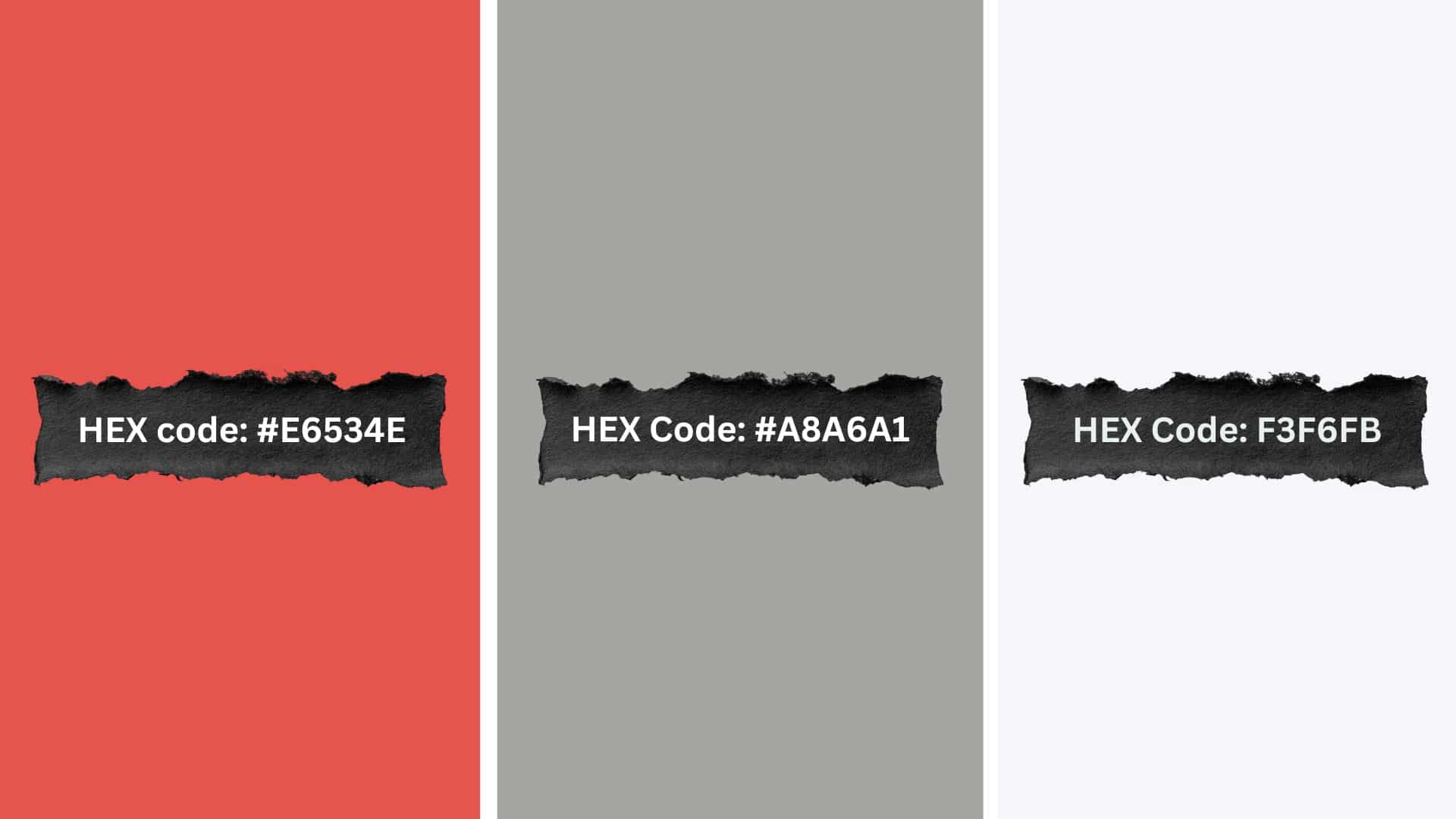 palette 19 soft ember