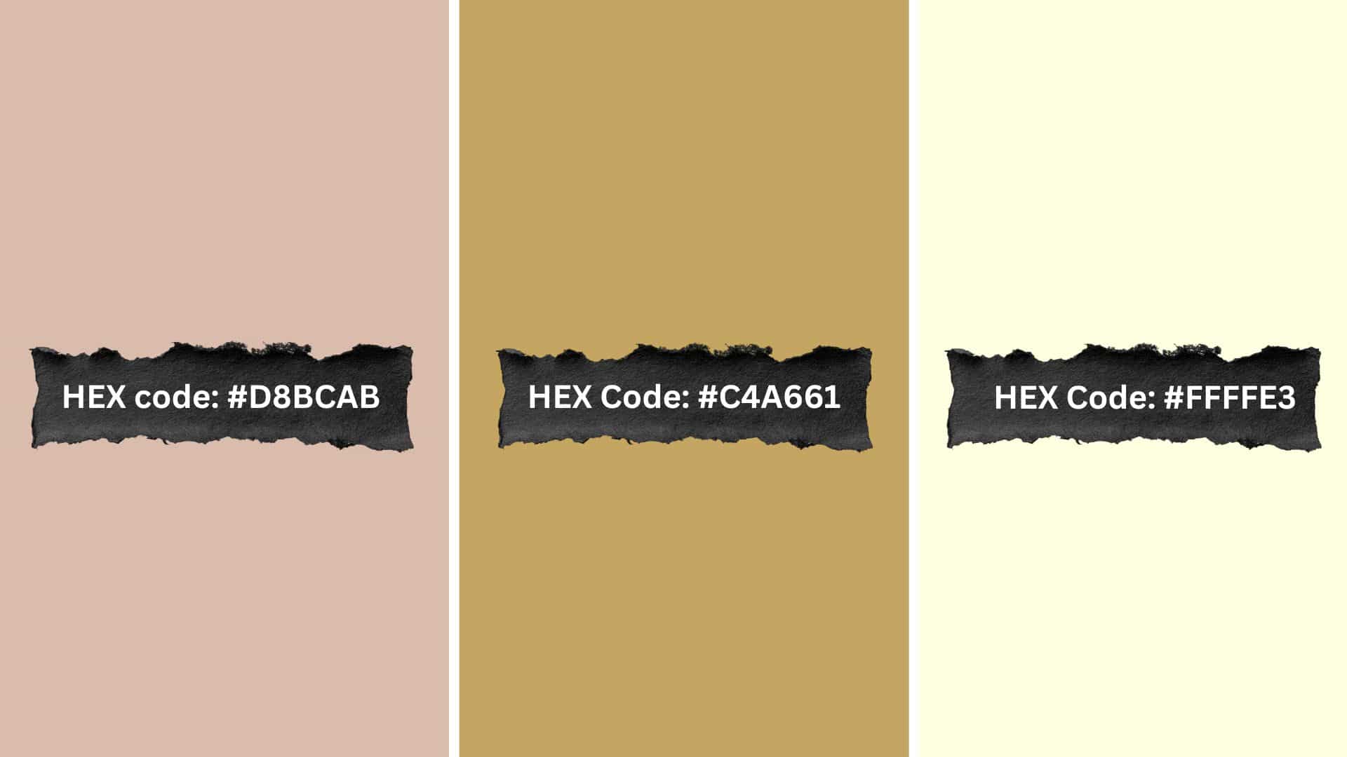 palette 3 dune breeze