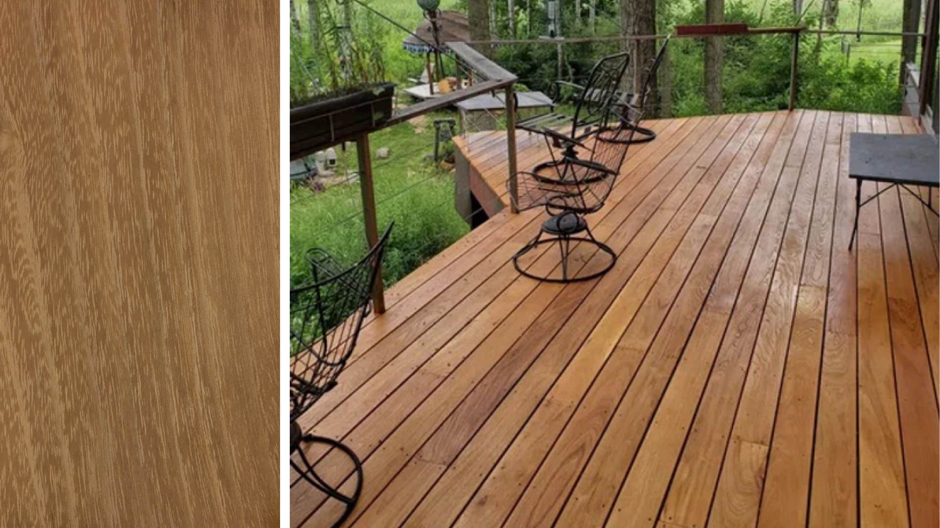 robinia black locust wood