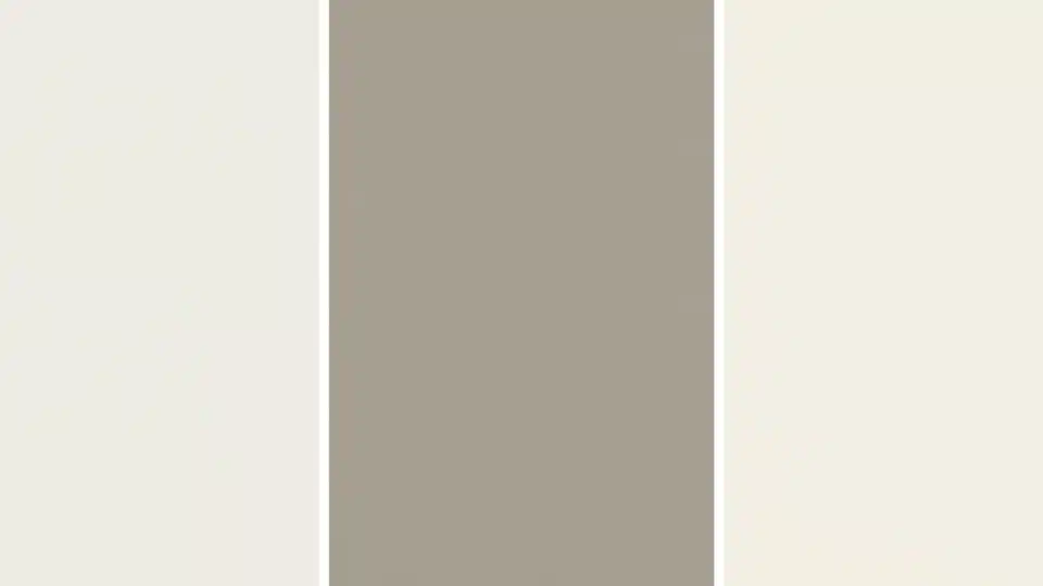 collage of white dove, rockport gray, and simply white paint swatches with label