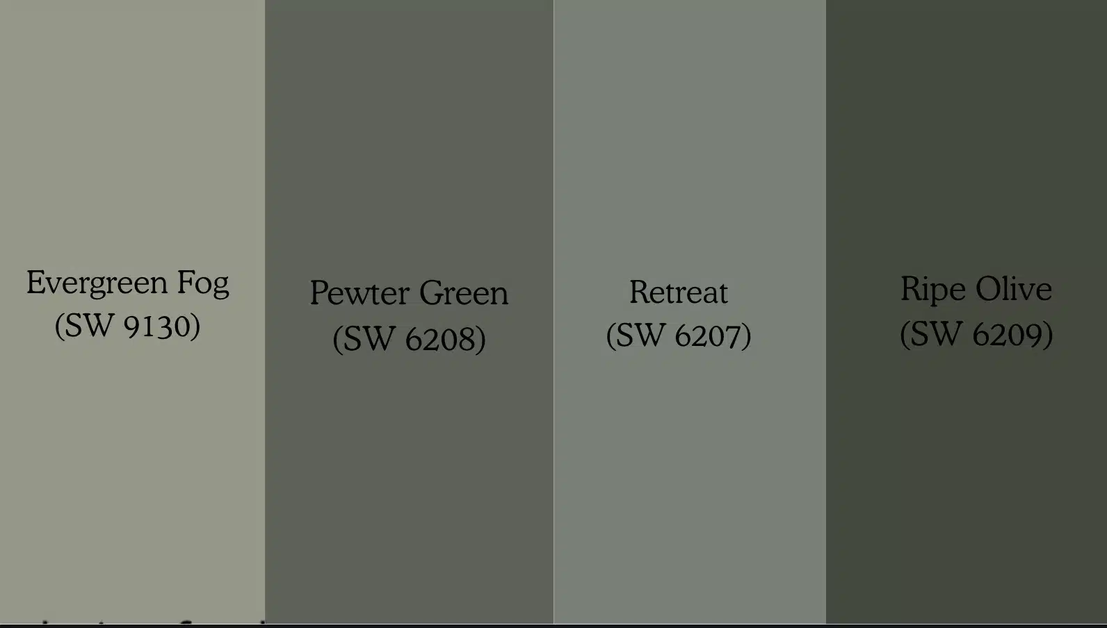 color palette showing four sherwin williams paint swatches, evergreen fog, pewter green, retreat, and ripe olive