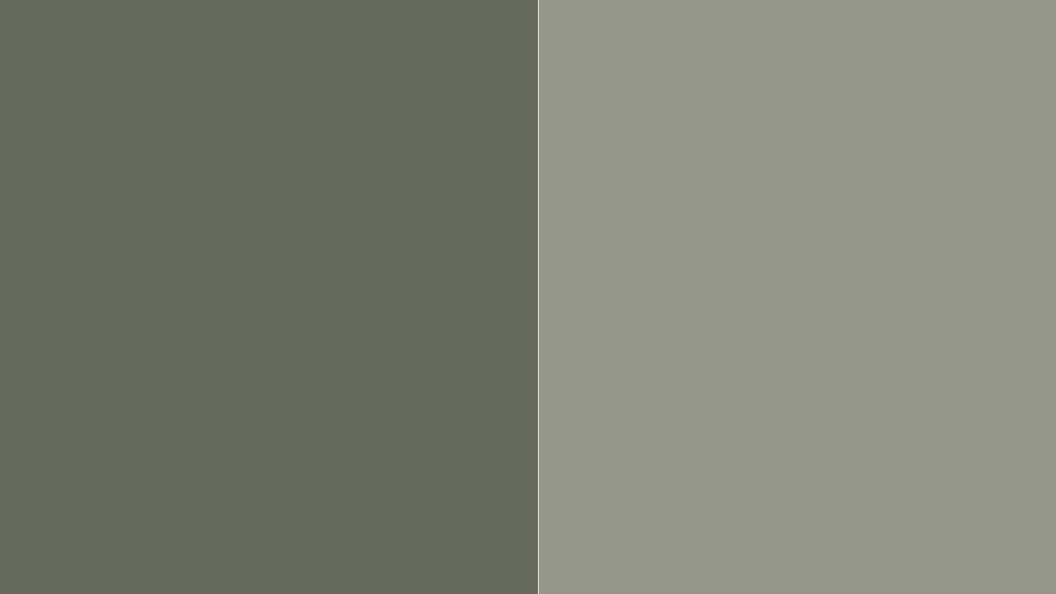 sw rosemary and sw evergreen fog paint swatches side by side showing deep gray green versus soft muted green