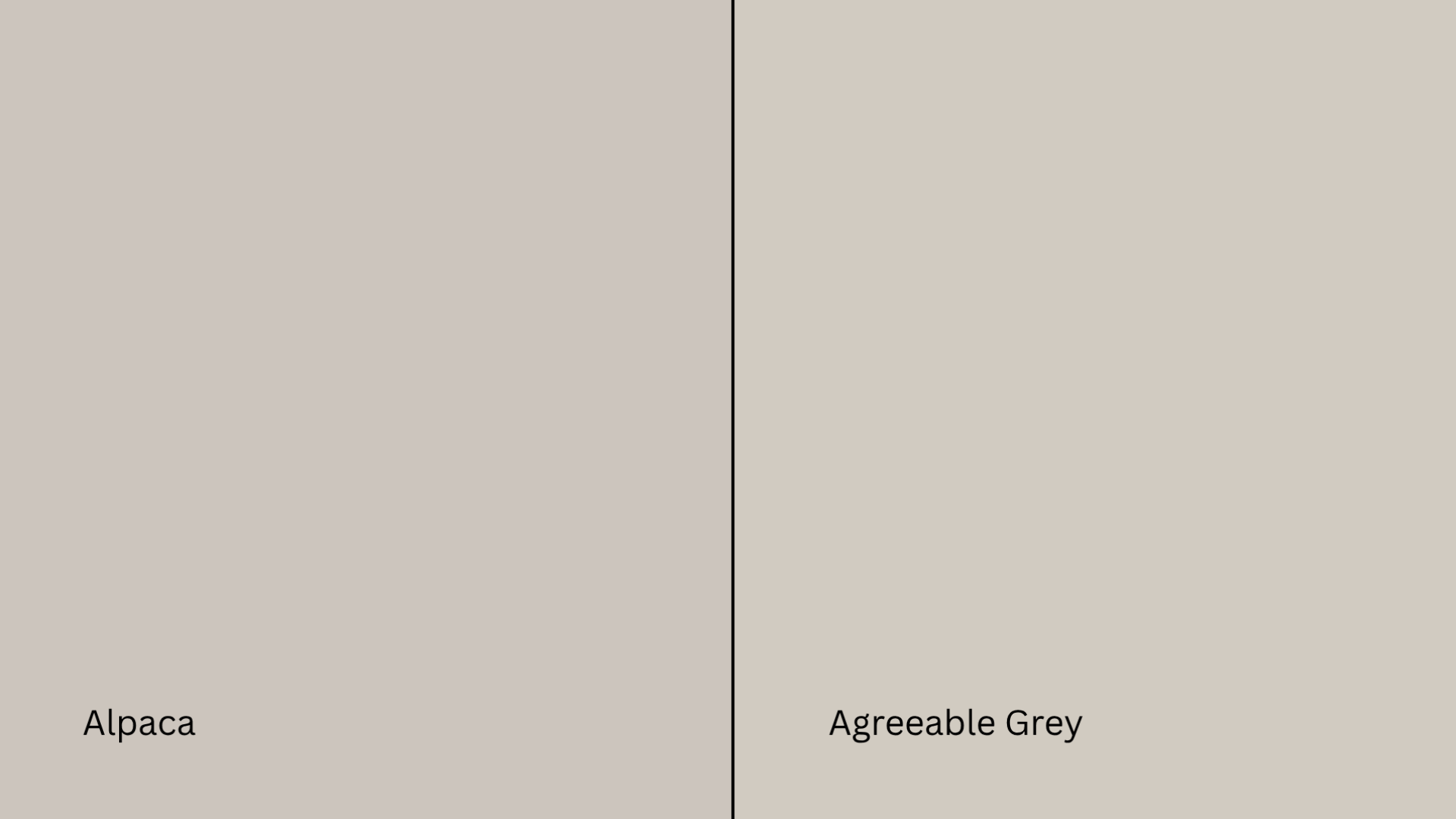 alpaca and agreeable gray paint swatches compared; agreeable gray appears warmer and more beige than alpaca