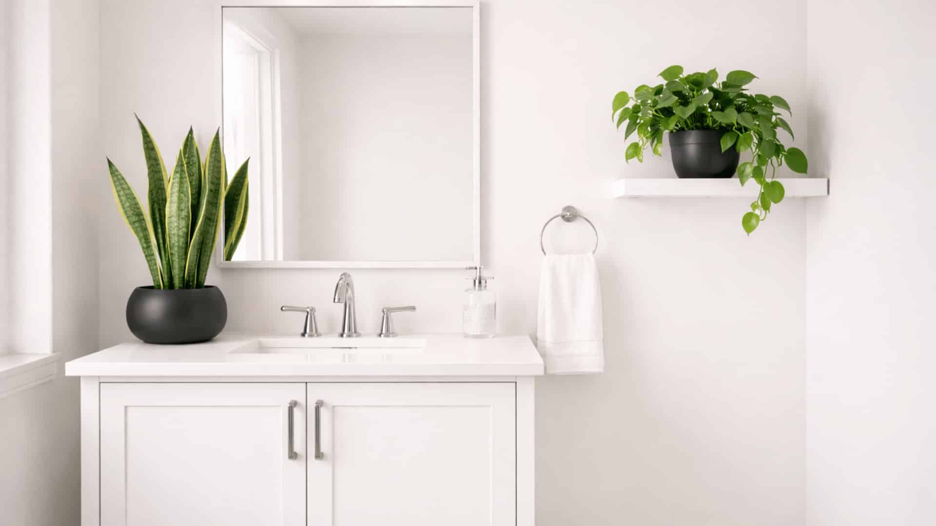 white bathroom vanity with snake plant and pothos in black pots under warm overhead light