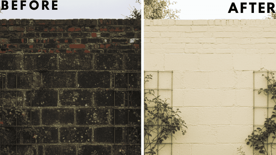 A dull, gray garden wall is transformed with limewash, giving it a fresh, soft cream color that enhances the garden’s inviting feel