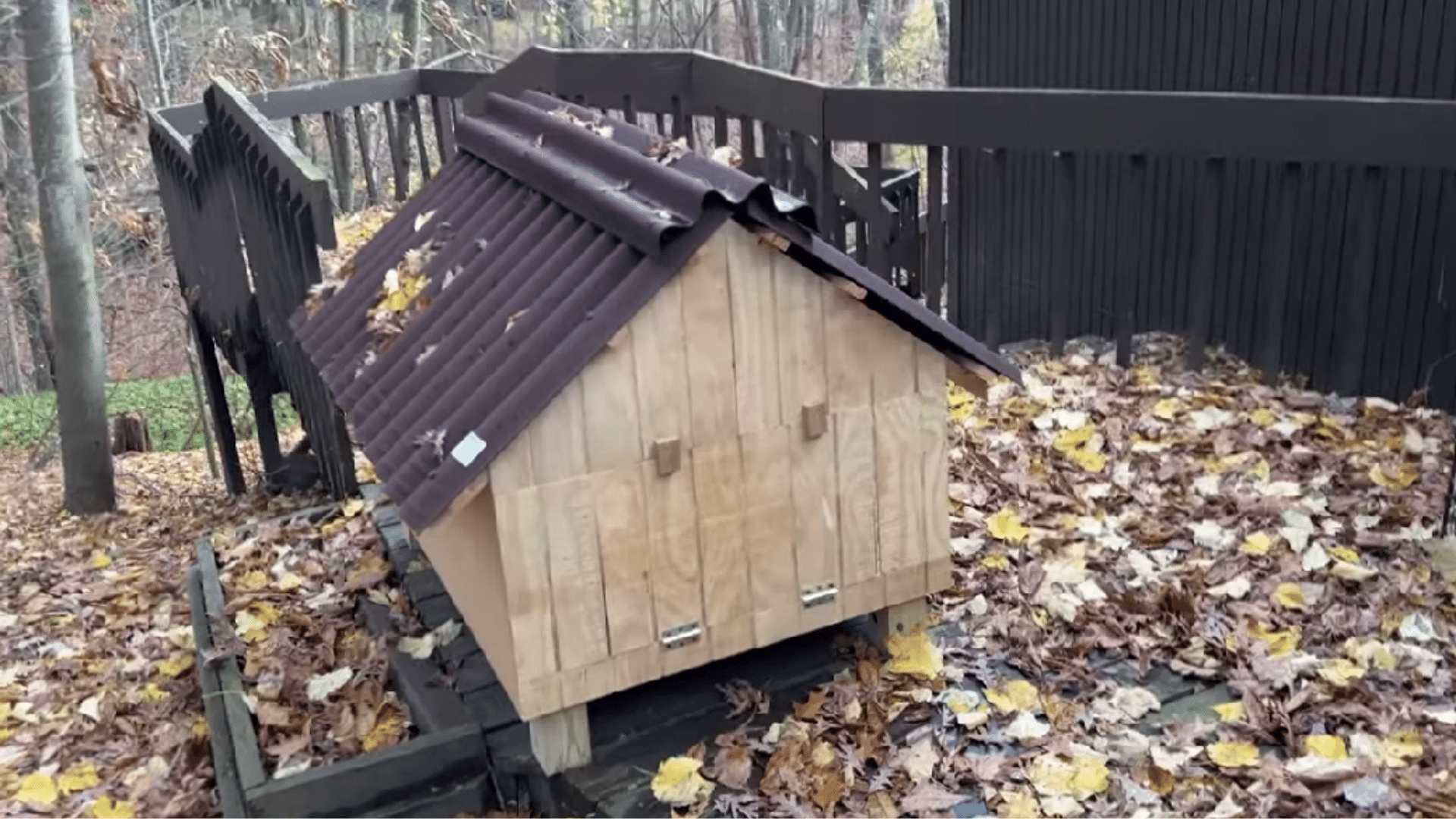 finished outdoor cat house with a sloped roof and dry entrance, placed in a quiet spot for stray cats
