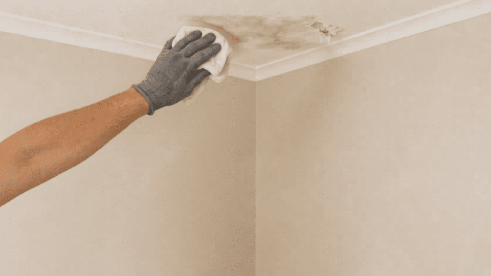 person wipes and scrapes a stained ceiling corner with a cloth and putty knife beside a ladder
