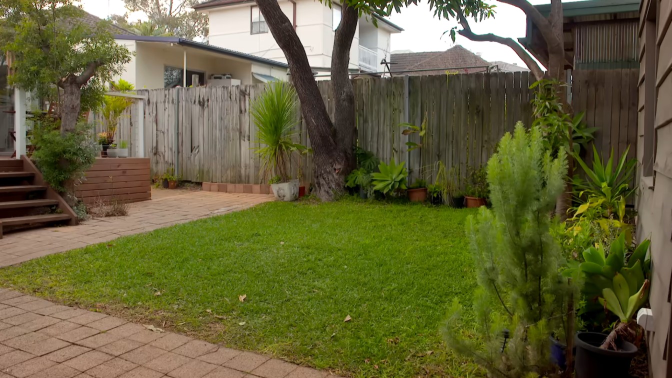 backyard lawn with garden beds, paving, trees, and fence before a landscape makeover begins