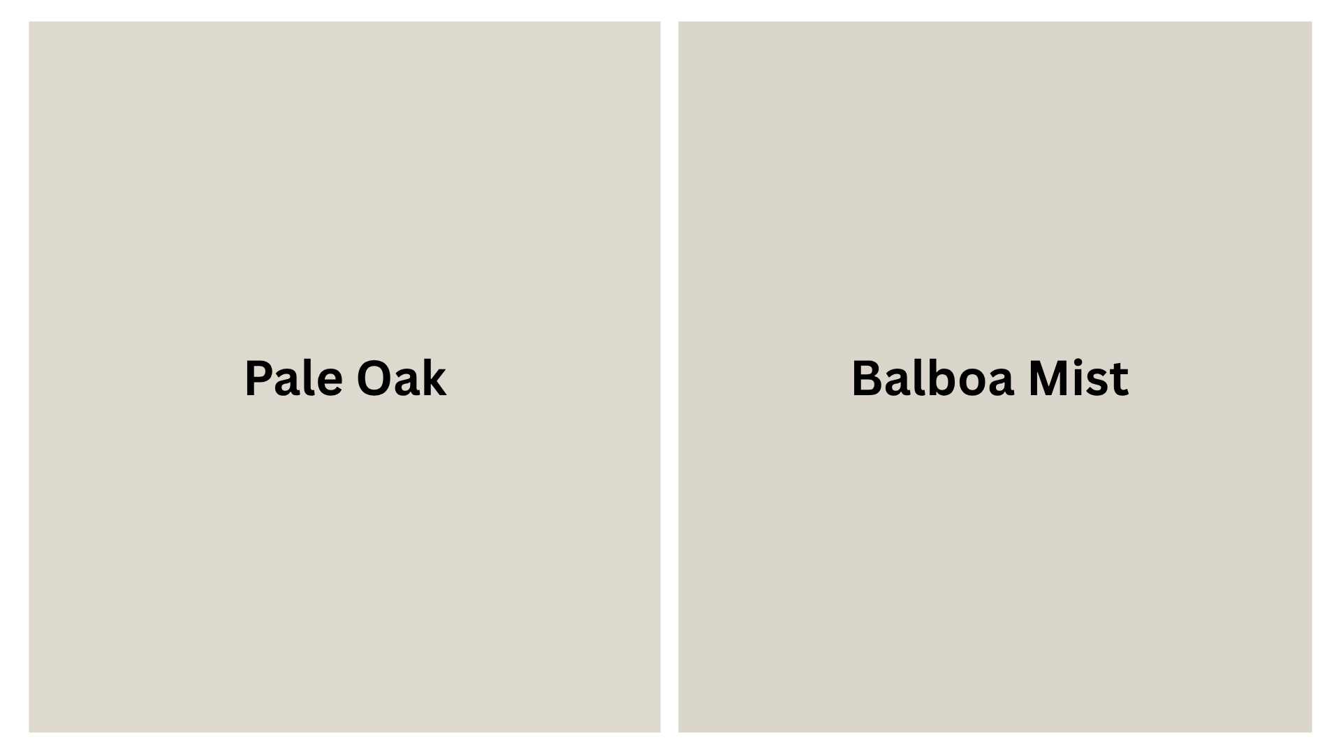 balboa mist color swatch slightly deeper warm gray neutral