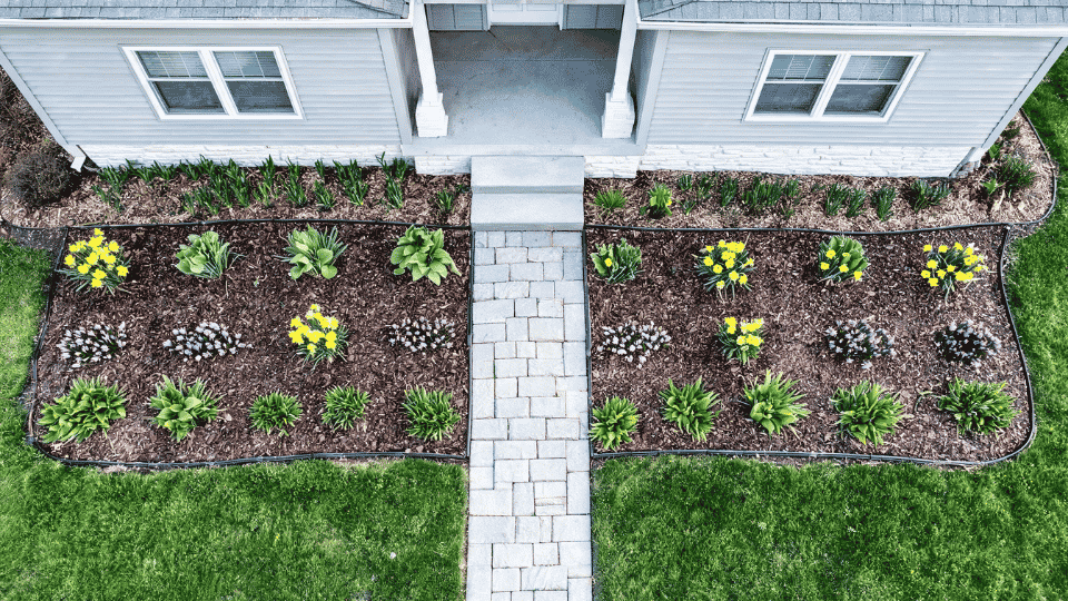 bulb-and-perennial bed in cold front garden with layered flowers and overhead yard layout view