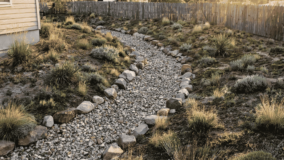 dry creek bed with river stones, curved runoff path, native plants and soft birdseye yard view design