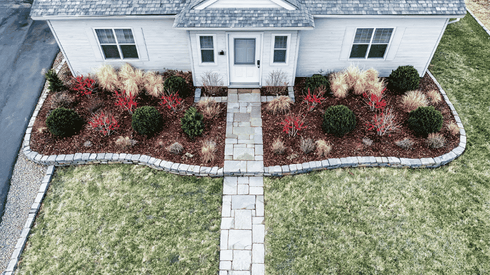 four-season foundation bed with evergreens, berries, grasses and overhead front garden view