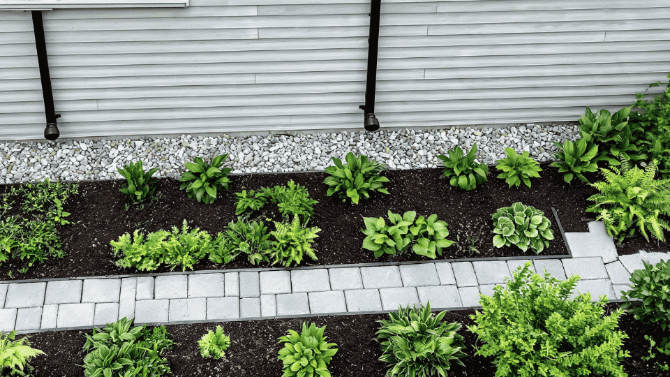 hardscape strip near downspout in humid garden with stone edge and overhead yard layout view