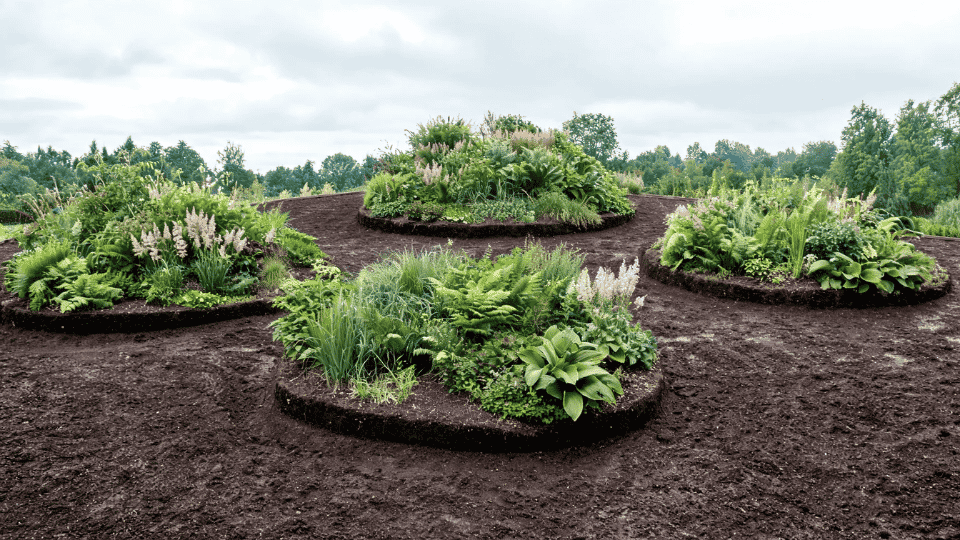 raised planting islands in soggy garden beds with mounded soil, wet plants and soft birdseye view