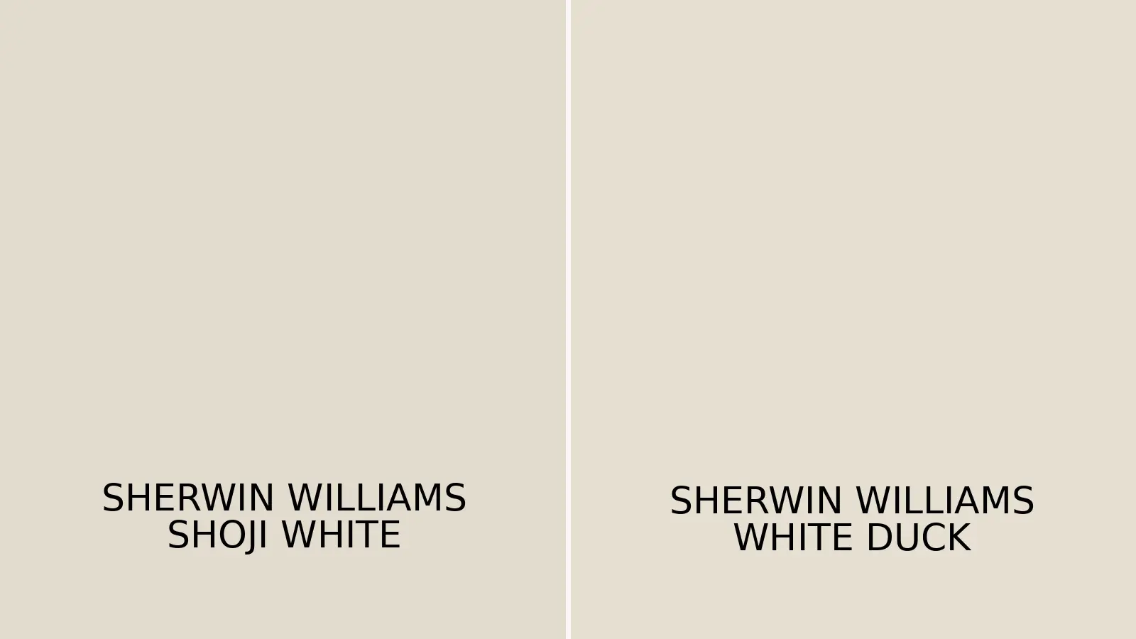 Shoji White vs White Duck side-by-side paint color comparison