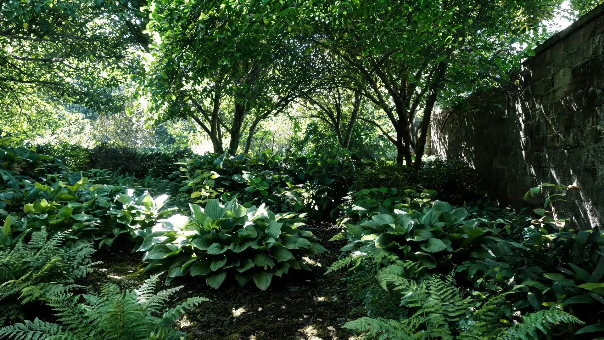 sock garden with layered stones, gravel, and drought-tolerant plants arranged across a sloped yard