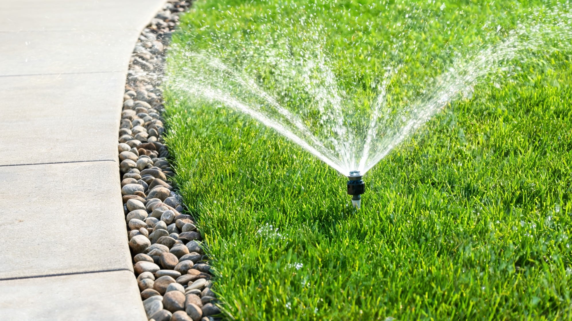 front lawn ideas with sprinkler watering green grass beside concrete path and river rock border in sunlight