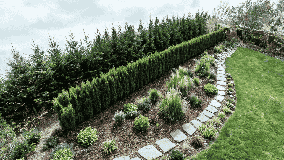 wind-buffer pocket with shrubs, evergreens, exposed cold garden bed and overhead yard layout view