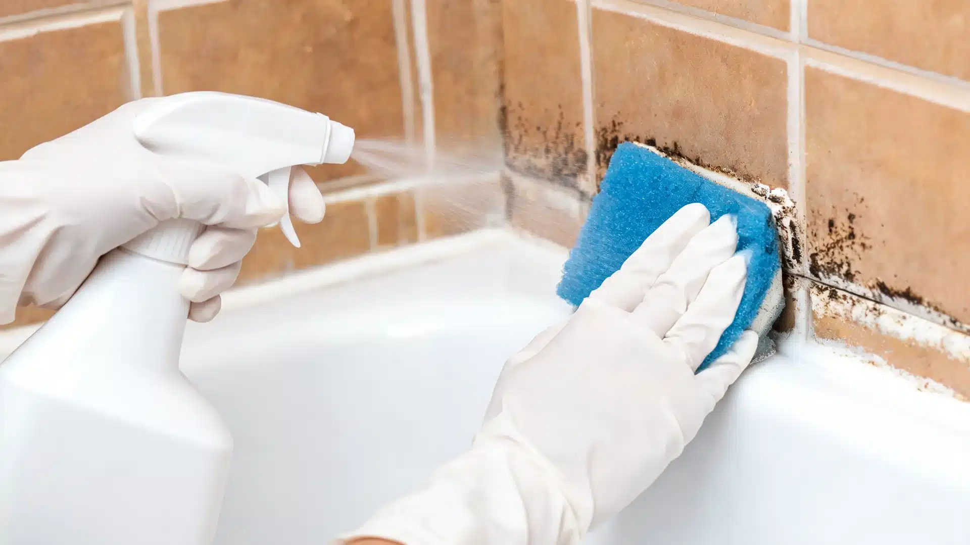 how to remove mold from shower with spray bottle scrub sponge and gloved hands cleaning grout