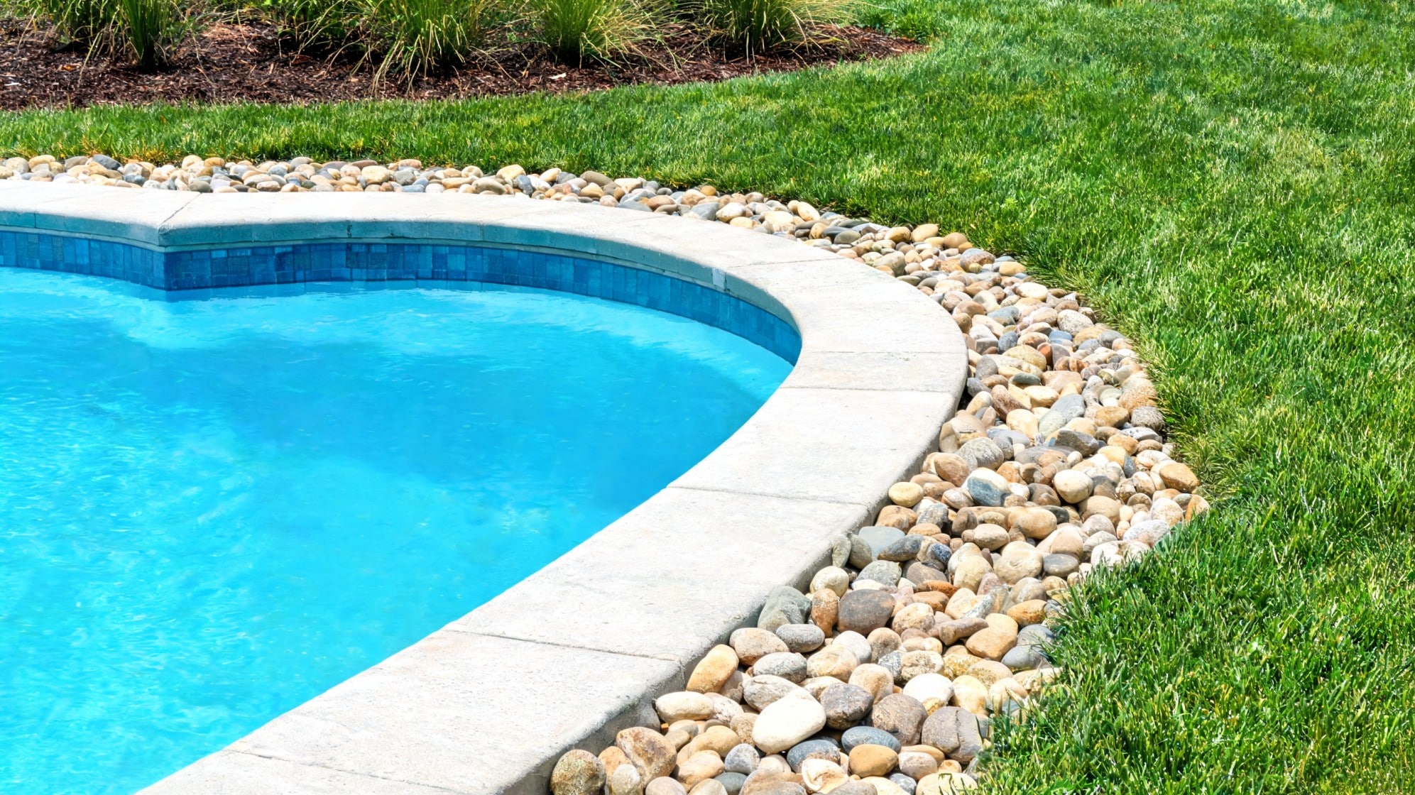 rock around pool ideas with smooth river stones along curved pool edge and green lawn for a clean backyard look