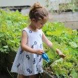 Gardening